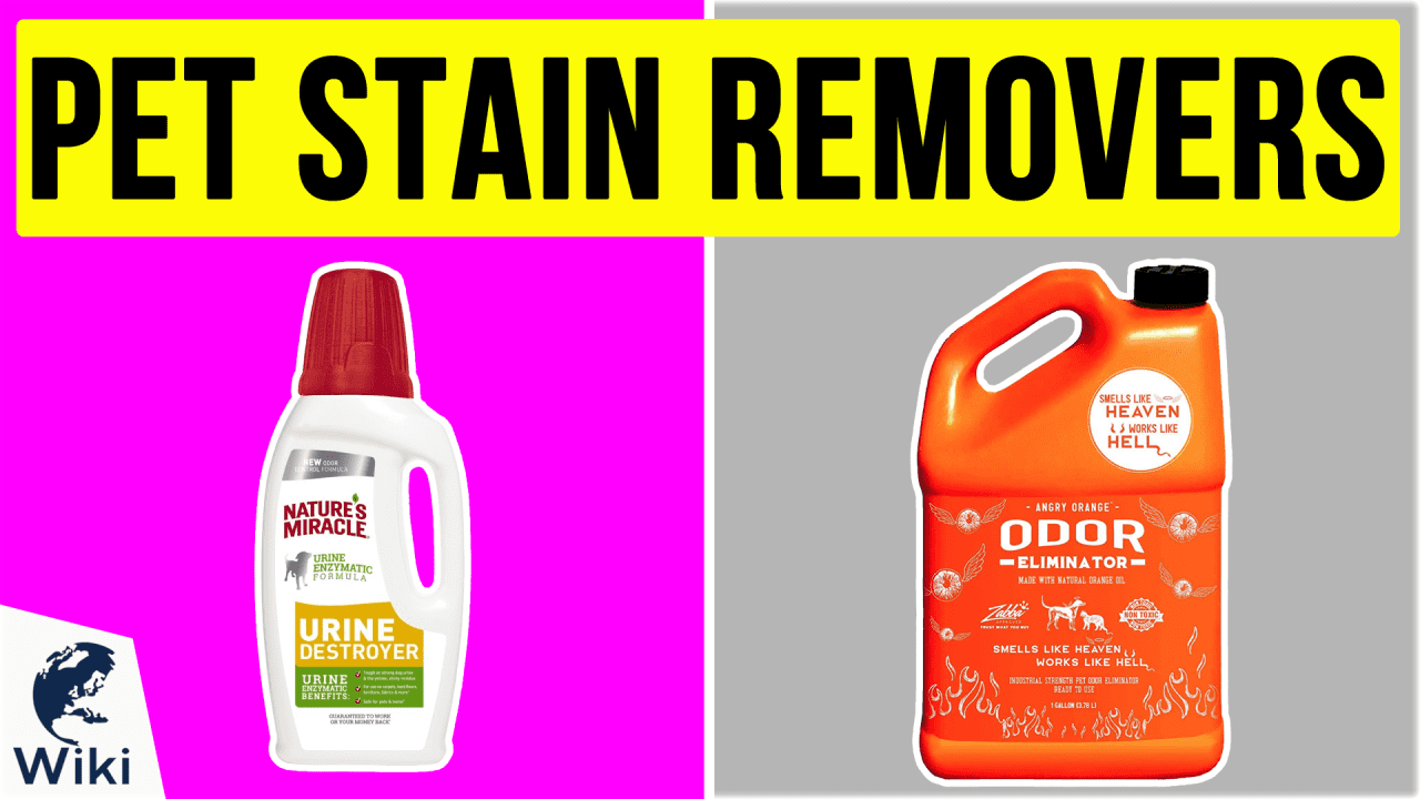 Best pet top stain remover