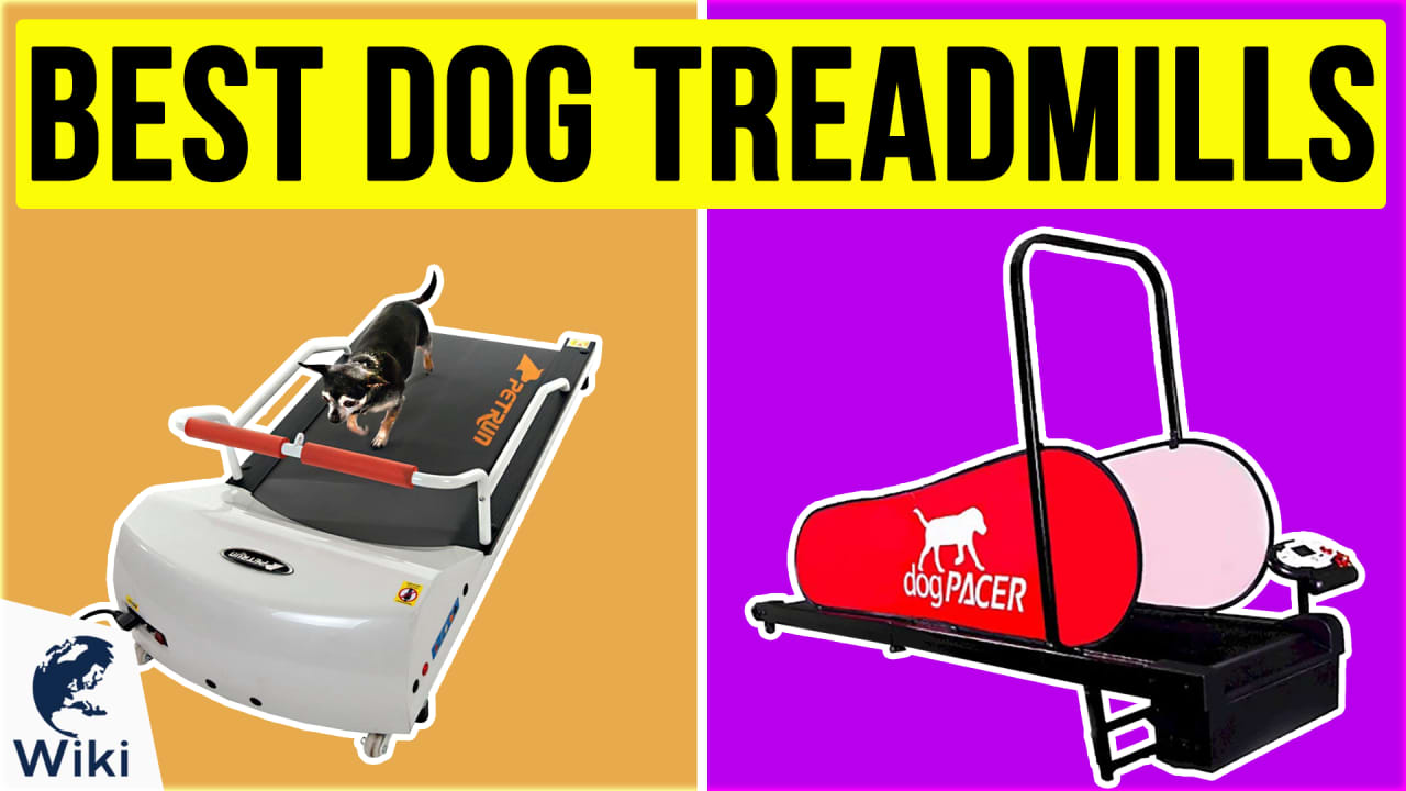 Dog Treadmill Small Dogs - Dog Treadmill for Medium Dogs - Dog
