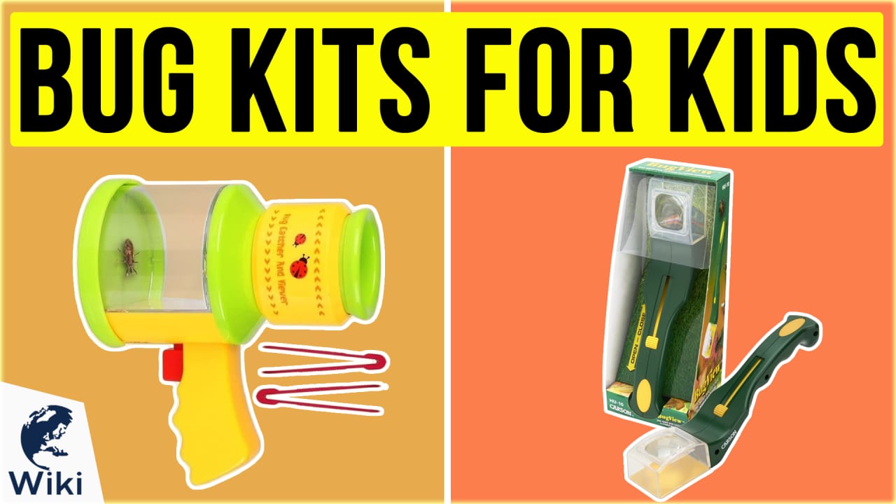 Top 10 Bug Kits For Kids