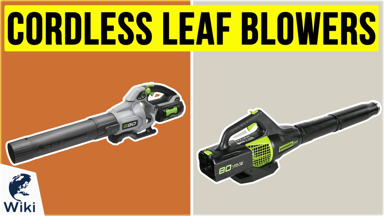 10 Best Cordless Leaf Blowers