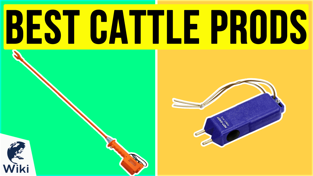 Top 8 Cattle Prods of 2020 Video Review