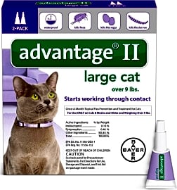 Top 8 Flea Treatments for Cats Video Review