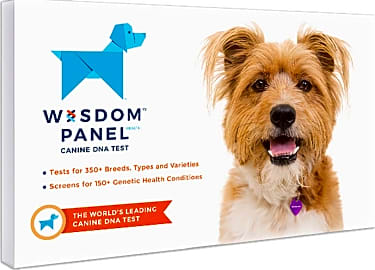 Mars dog dna test discount