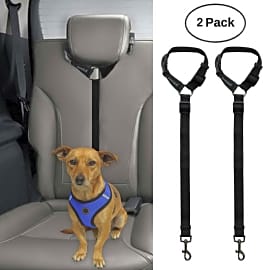 Top 10 Dog Seat Belts