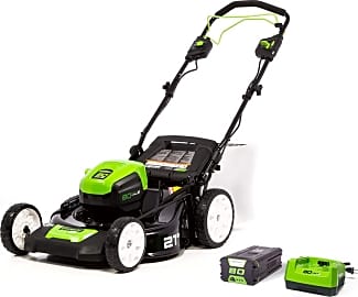 Greenworks 25022 review sales