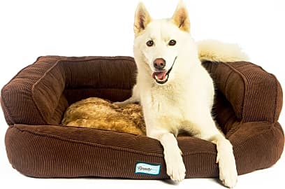Top 10 Dog Beds Video Review