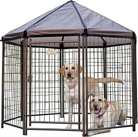 Dog pens with tops clearance