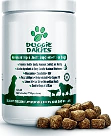 Top 10 Glucosamine For Dogs Video Review