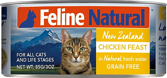 Top rated canned cat clearance food