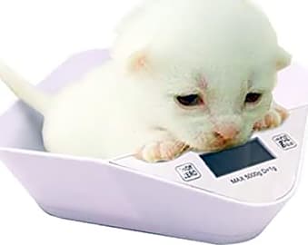 Digital Pet Scale for Puppy and Cats, Puppy Supplies Scale, Weigh