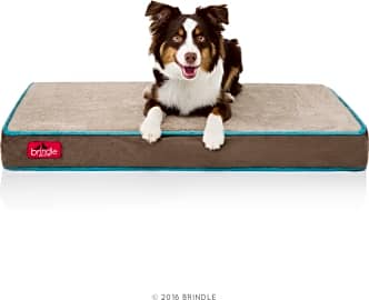 Brindle dog store bed review