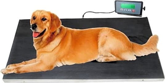 Precision Digital Small Dog or Cat Scale by Redmon