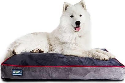 Better world dog beds new arrivals