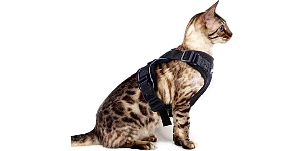 Eagloo cat harness on sale