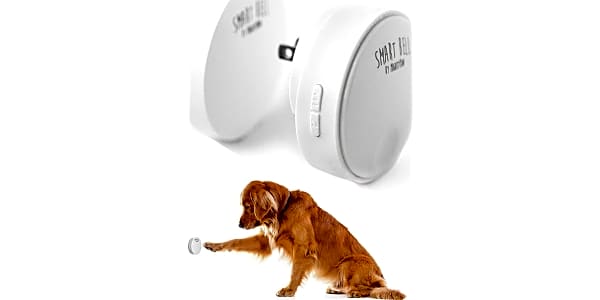 Dog paw doorbell new arrivals