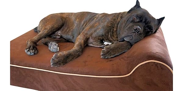 Bully beds orthopedic memory foam sale dog bed