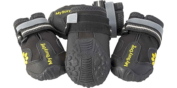Top 10 Dog Booties Video Review