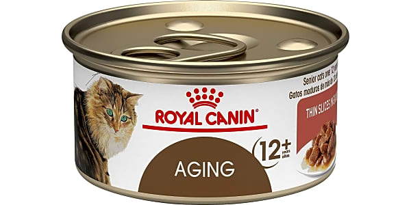 Top 10 Canned Cat Foods Video Review