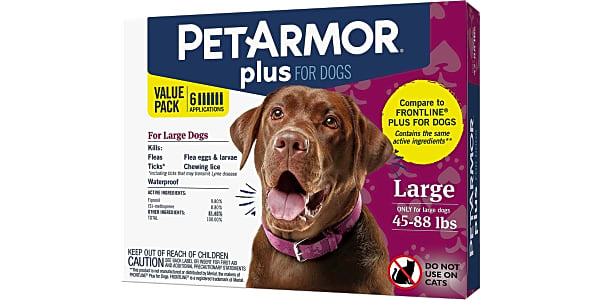 Sentry capguard walmart top