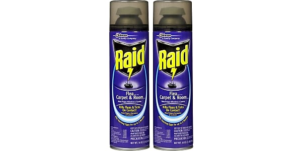 Raid flea killer plus carpet and room spray safe for cats clearance