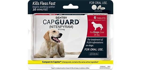 Top 10 Dog Flea Treatments Video Review