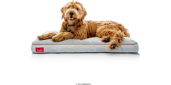 Best dog mats for crates deals