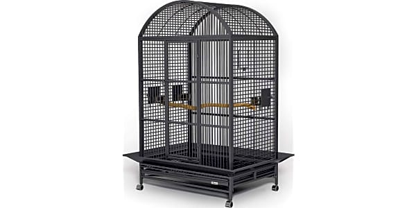 Archie & Oscar™ Jaden 62 Steel Victorian Top Hanging Bird Cage Stand with  Tray & Reviews