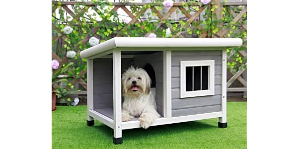 Pet squeak arf frame dog house 2025