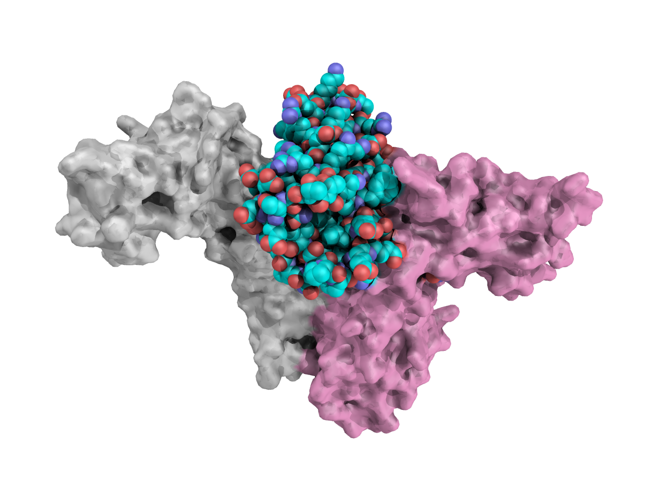 Protein Image