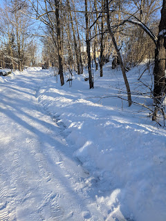 Trail 3