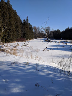 Trail 2