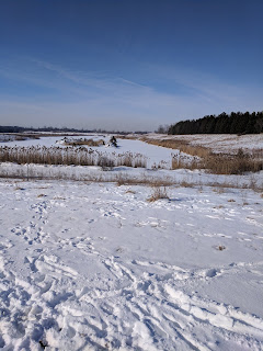 Trail 5