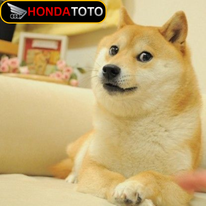 Hondatoto