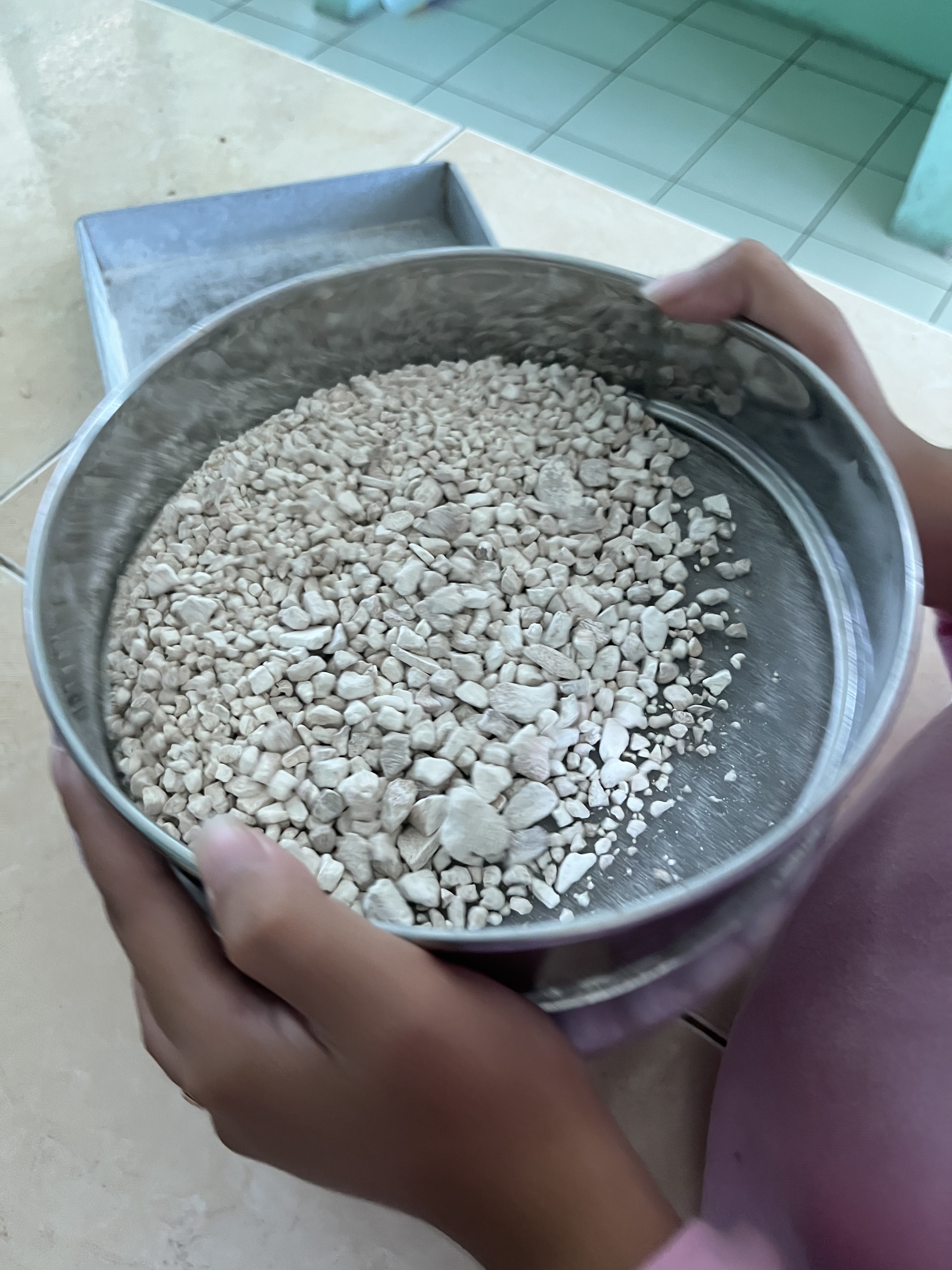 Pengayakan & Kalibrasi Butiran Tepung Talas 100 Mesh Stainless Steel