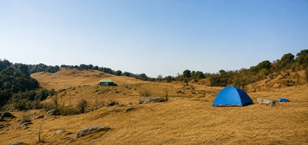 Khedi Trek in Sikkim