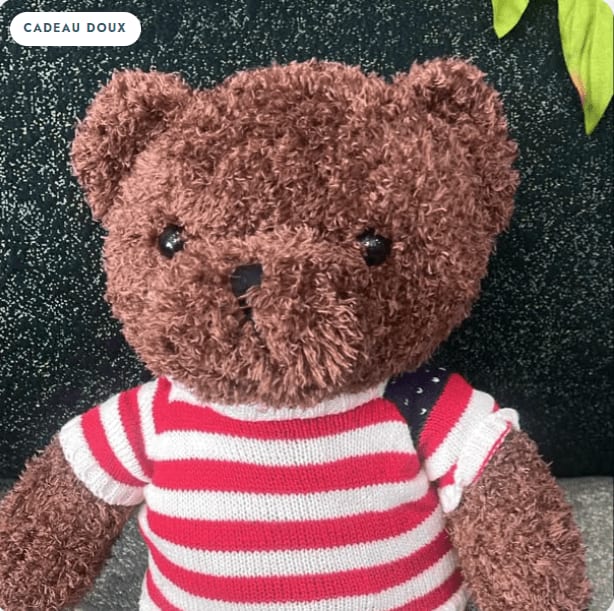 Ours brun au pull rayé — photo 1 sur 1