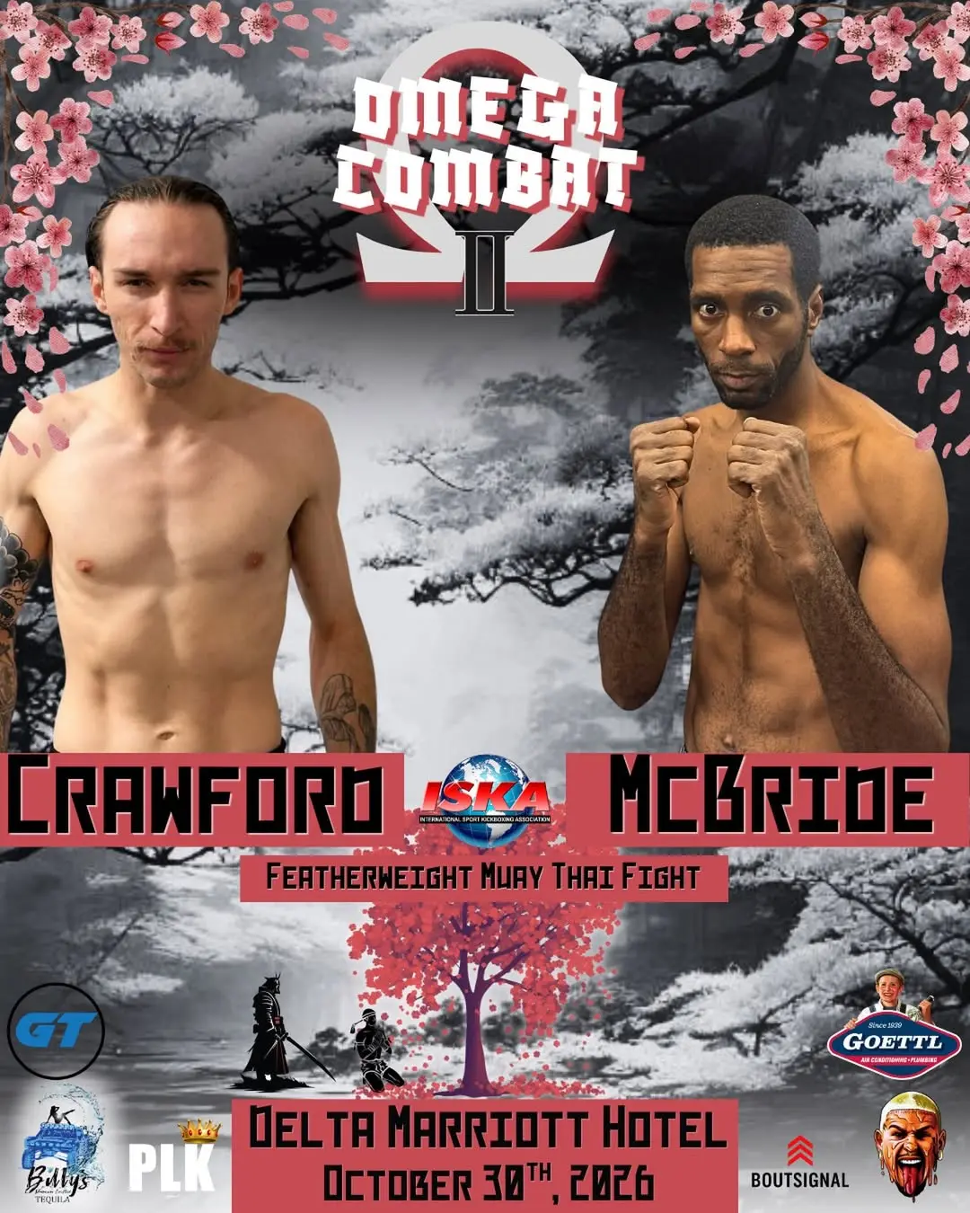 Omega Combat II Omega Combat II