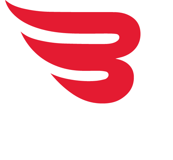 Belvi
