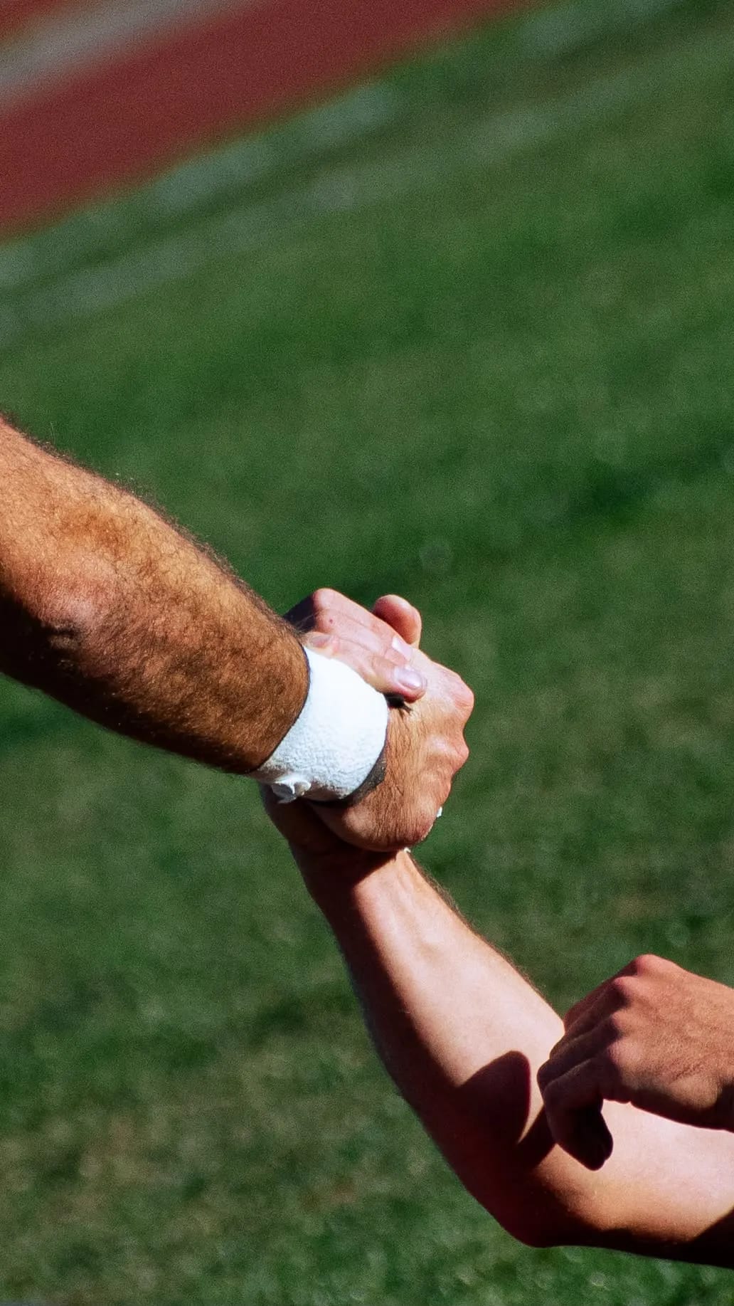 Portfolio photograph 8