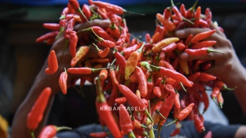 BPS Catat Inflasi September 2026 Sebesar 3,28 Persen, Kelompok Pangan Jadi Pemicu Utama