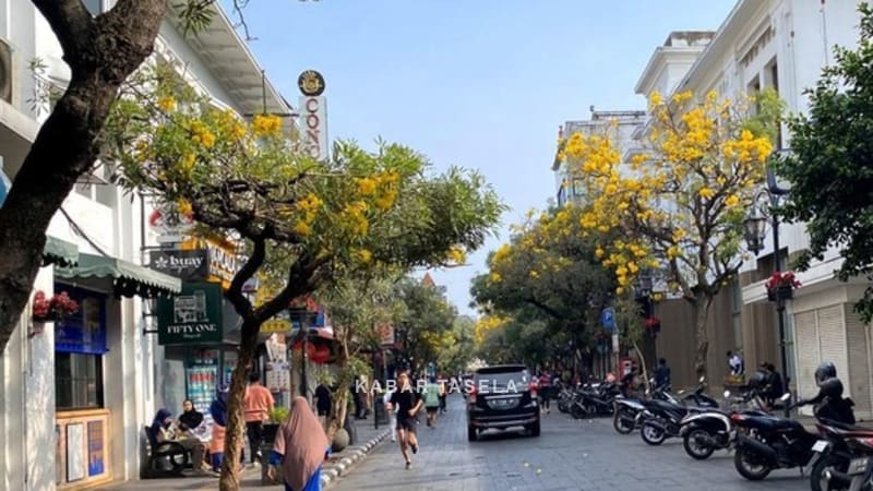 Melintasi Lorong Waktu Musim Semi: Menemukan 5 Sudut Cantik Tabebuya yang Berseri di Bandung