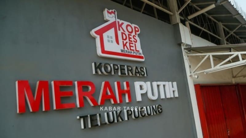 Dukung Program Pemerintah, Bulog Buka Pasokan Beras SPHP Tanpa Batas untuk Kopdes Merah Putih