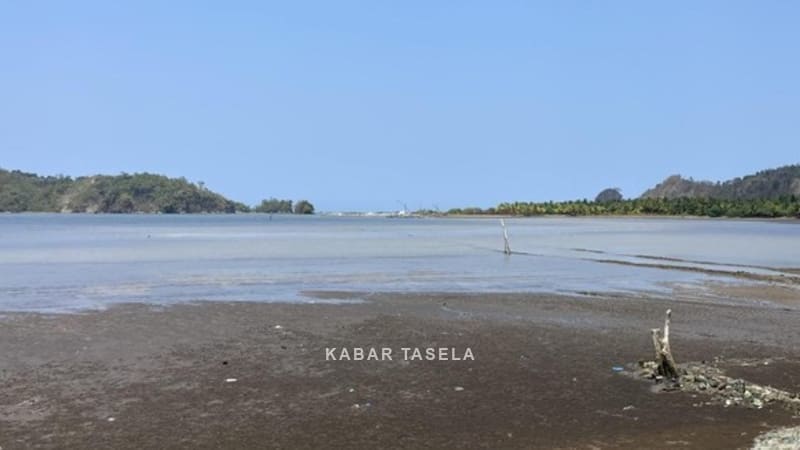 Menyingkap Palatar Agung: Surga Memancing Tersembunyi di Pelukan Nusakambangan
