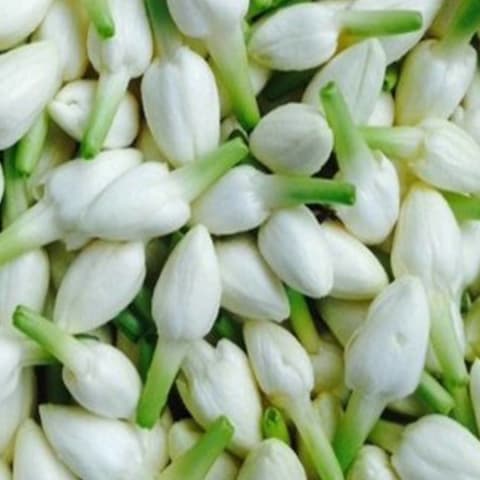 Madurai Malli 150 gm
