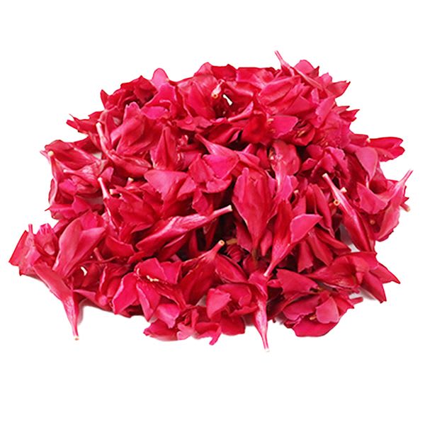 Red oleander 