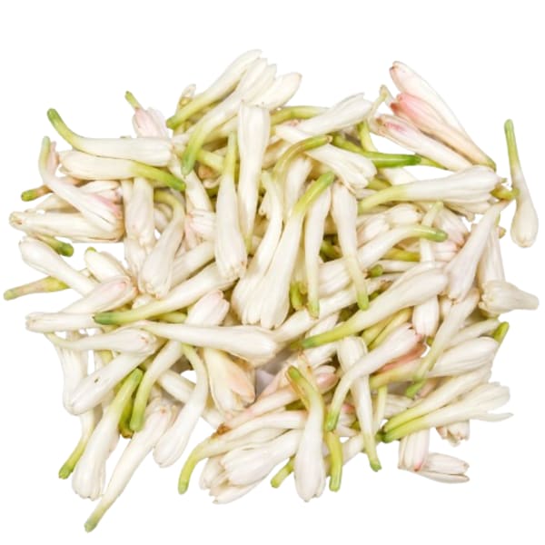 Tuberose