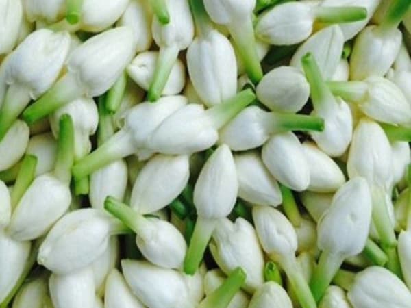 Madurai Malli 150 gm