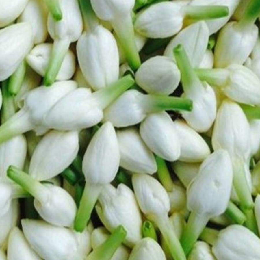 Madurai Malli 150 gm