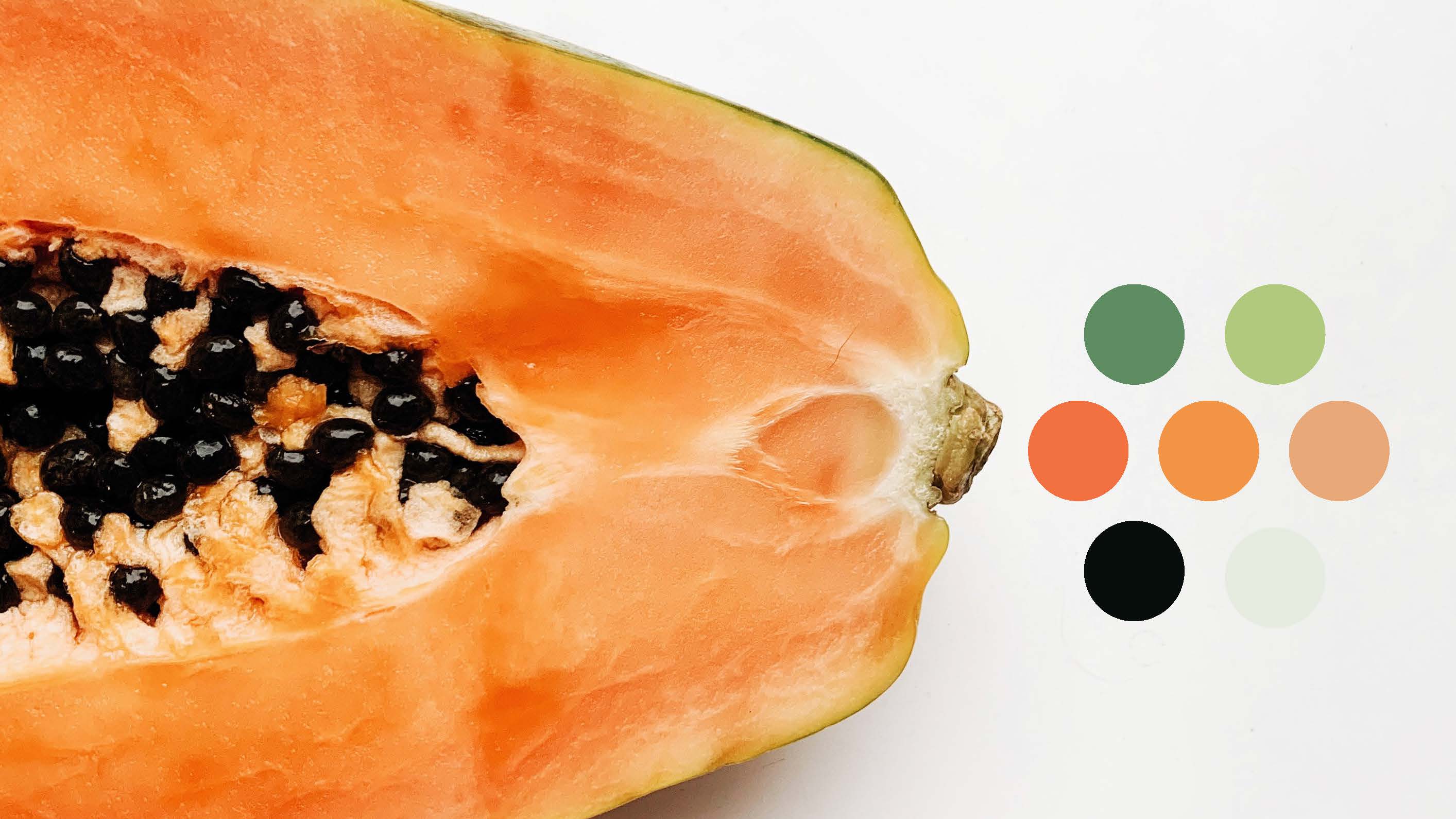 Papaya construction detail