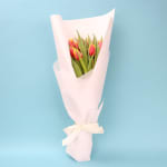 Tulip Bouquet  - Standard